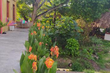 Photo 47