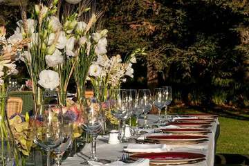 Outdoor wedding area