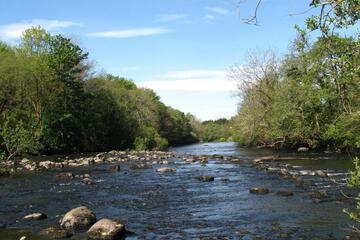 Photo 36