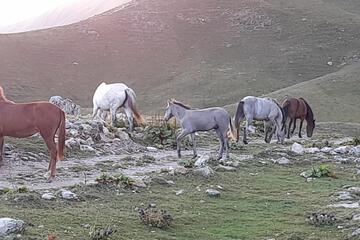 Photo 30