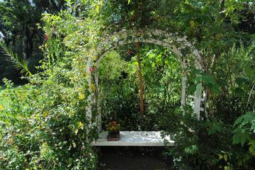 Photo 36