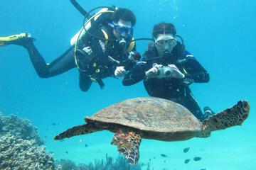 Photo 20