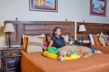 Pet-friendly
