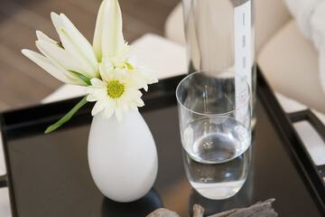Spa treatment