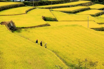 Ecotours