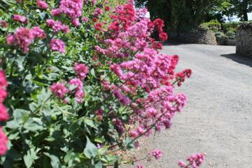 Photo 30