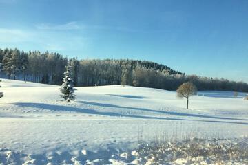 Photo 40