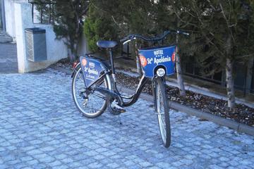 Photo 16