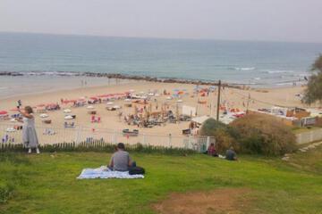 Photo 46