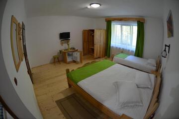 Photo 50