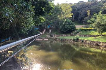 Ziplining
