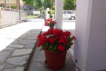 Photo 35