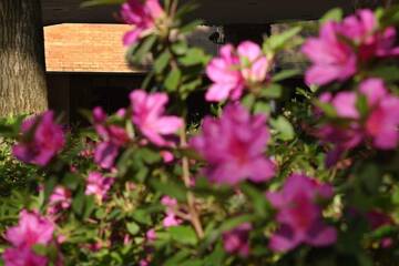 Hotel Exterior 53 of 64