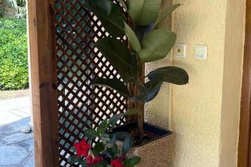 Photo 31