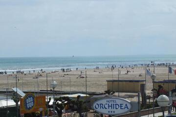 Photo 35