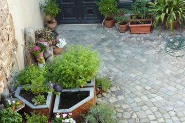 Photo 33