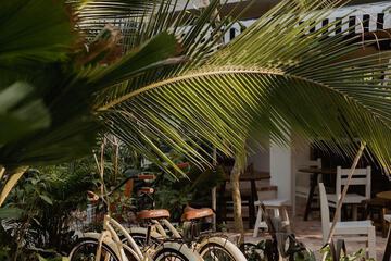 Bicycling