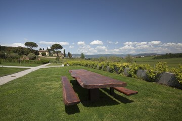 BBQ/picnic area