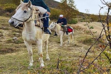 Horseback riding