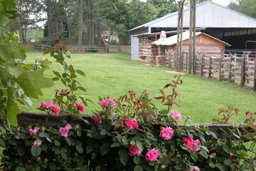 Hotel Exterior 45 of 61