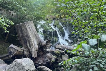 Hiking