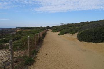 Photo 49