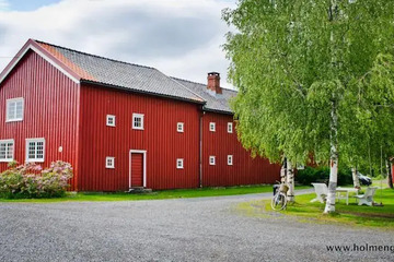 Photo 5