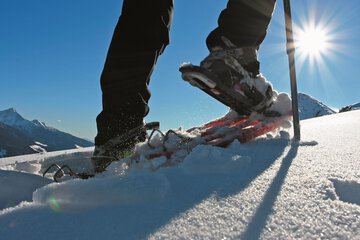 Snowshoeing
