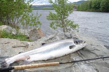 Fishing