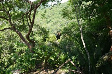 Ziplining