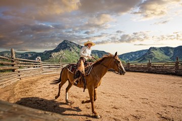 Horseback riding