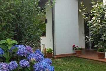 Photo 31