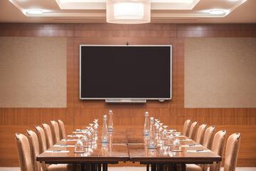 Meeting 29 of 38
