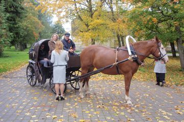 Horseback riding
