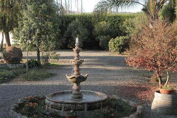 Photo 39