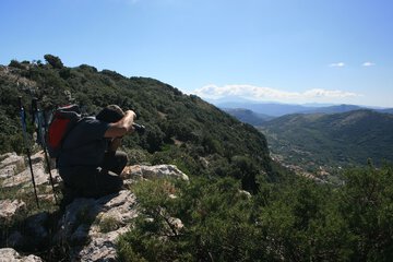 Hiking