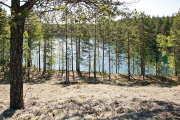 Land view from property