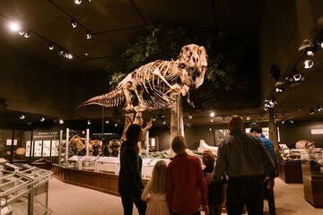 Children's activities