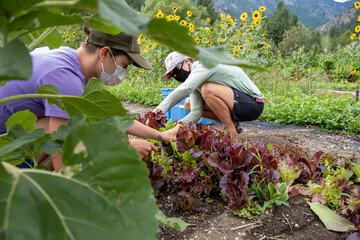 Children's activities