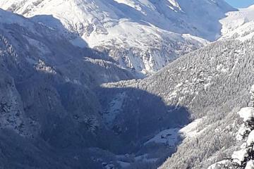 Photo 45