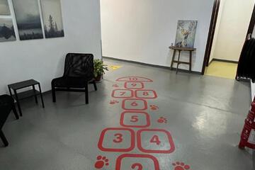 Photo 46
