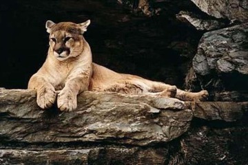 Hotel Interior 7 of 46