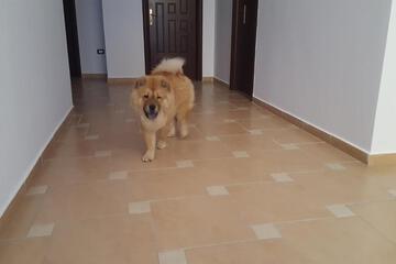 Photo 36