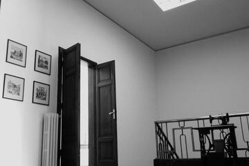 Photo 53