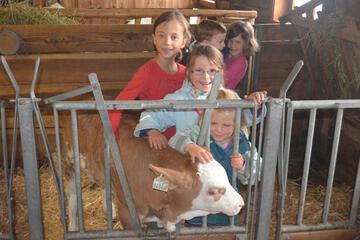 Photo 39