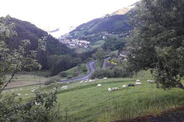 Photo 4