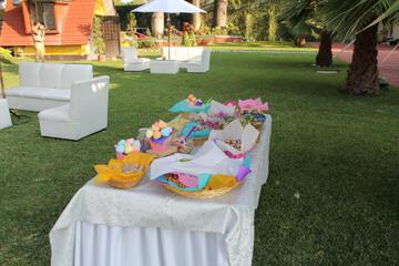 Photo 46
