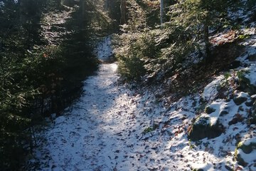 Land view from property