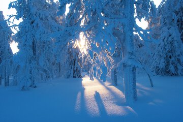 Ski hill