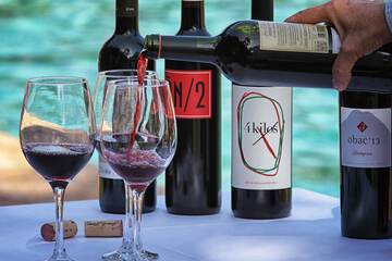 Vineyard